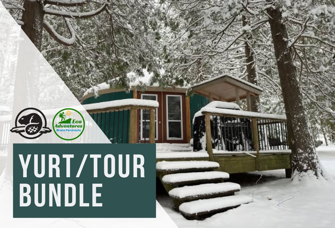 Winter Yurt Image EA x PC